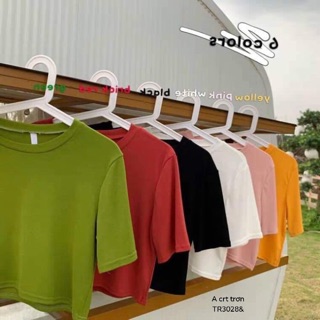 Áo crt trơn dáng thụng (TR)
