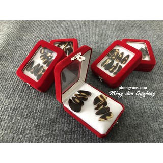 Móng đàn cổ tranh trung quốc guzheng