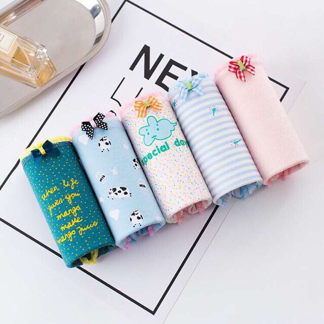 Set 5 quần lót nữ kute cotton thoáng mát mềm mịn QL38