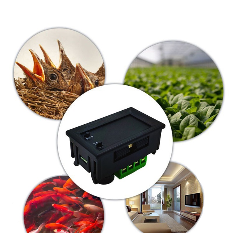 Bộ Điều Khiển Nhiệt Độ Điện Tử DC 12V