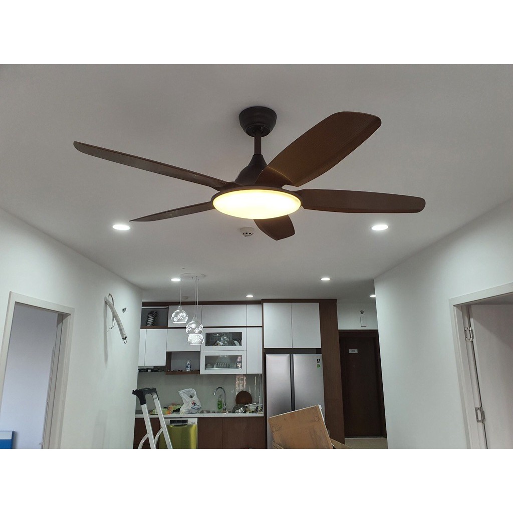 Quạt Trần Đèn 5 Cánh 1m35 Kèm Điều Khiển 6 số Bh Động Cơ 5 Năm | BigBuy360 - bigbuy360.vn