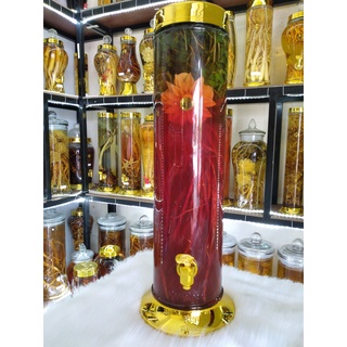 Đan sâm tươi 1kg
