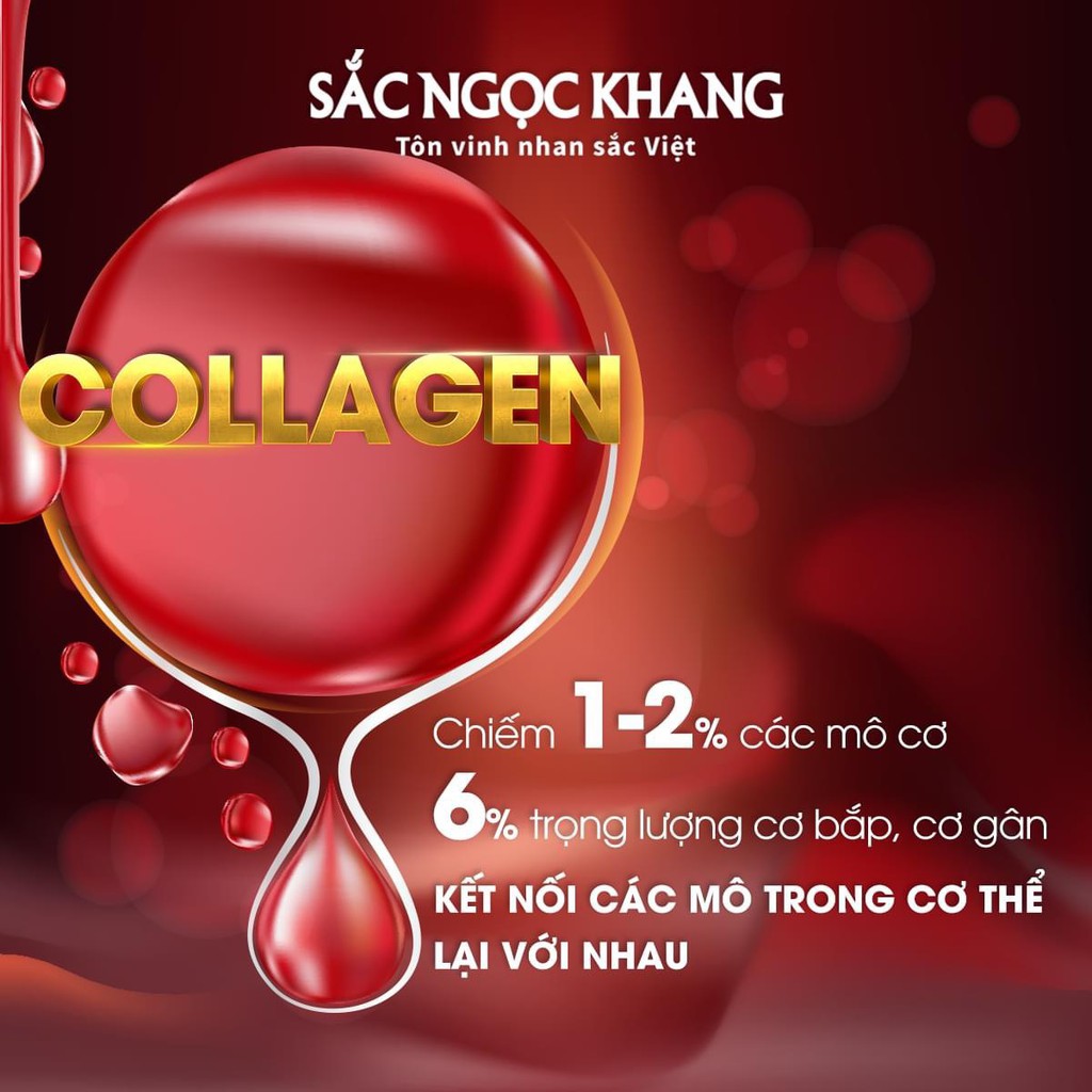 Combo Chăm Sóc Da Hoàn Hảo Sắc Ngọc Khang (1 Hộp Collagen + Nước hoa hồng + Kem dưỡng ban đêm + 1 Hộp Sắc Ngọc Khang++)