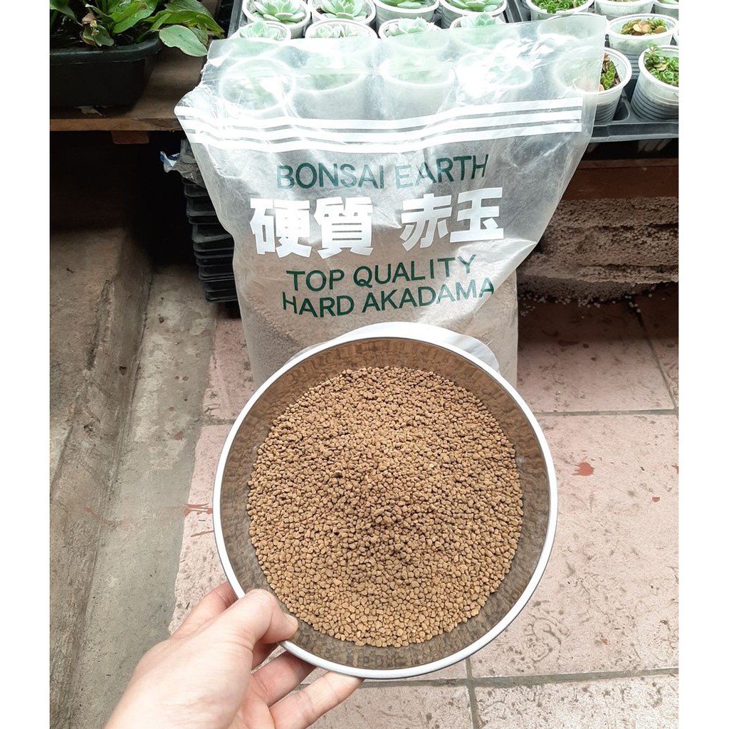Đất Akadama trồng sen đá, xương rồng, gói 500g