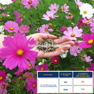 100h - hạt giống hoa cánh bướm mix