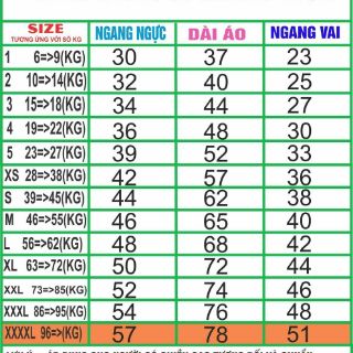 SÉT BỘ QUẦN ÁO ĐI BIỂN HÓT NHẤT