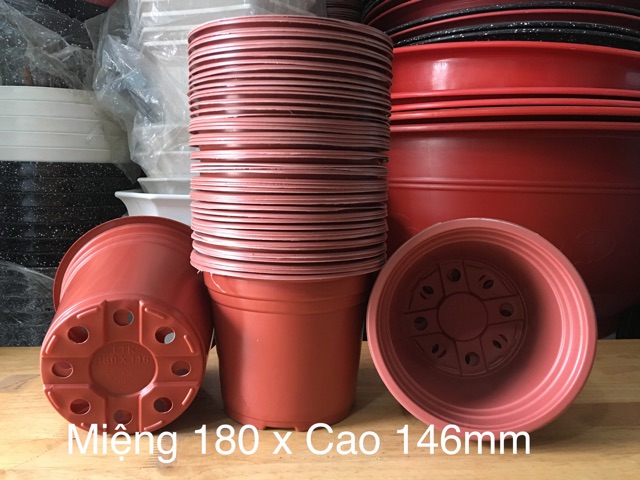 Combo 10 Chậu Nhựa Mỏng Dẽo Trồng Ươm Cây, Gieo Mầm - Tái sử dụng nhiều mùa (nhiều size:10.5-12-15-18-23-26-30)