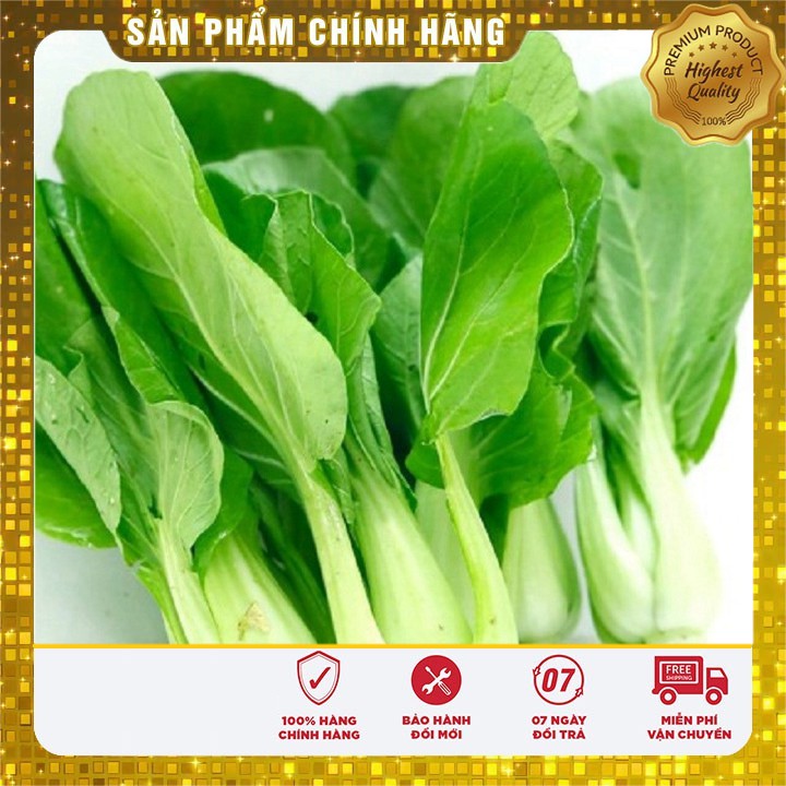 Hạt giống rau Cải Chíp Cao sản gói 20 gram