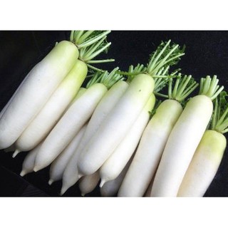 Hạt Giống Củ Cải Trắng