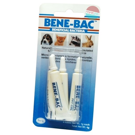 BENE-BAC PLUS - Men Tiêu Hóa Chó Mèo ( 1 Hộp 4 Tuýt)