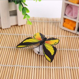 Đèn LED bướm gắn tường trang trí
