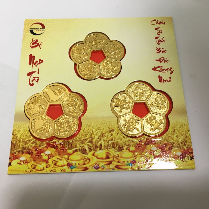 Ba Đồng Tiền Hoa Mai Phong Thủy (Tam Cát) Chuyên Nạp Tài Két Sắt, Giữ Lộc Trong Nhà, Hóa Giải Thị Phi Cho Gia Chủ | BigBuy360 - bigbuy360.vn