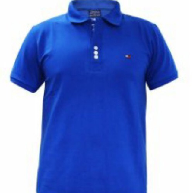 AO CÁ SẤU NAM THUN COTTON | BigBuy360 - bigbuy360.vn