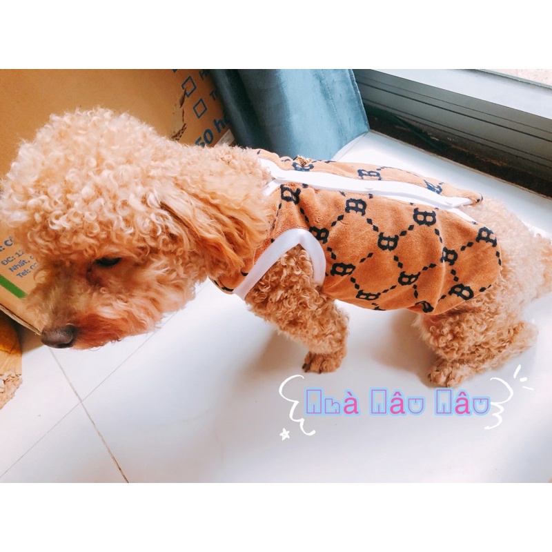 Áo Gi - lê cho chó mèo