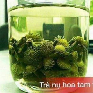 NỤ HOA TAM THẤT 500GRAM ĐÓNG GÓI