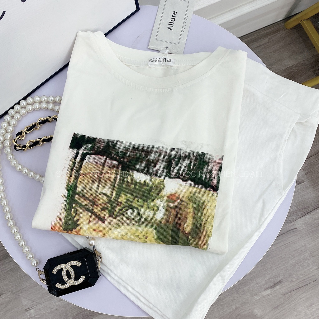 Set áo phông họa tiết quần short đùi siêu hot HN800