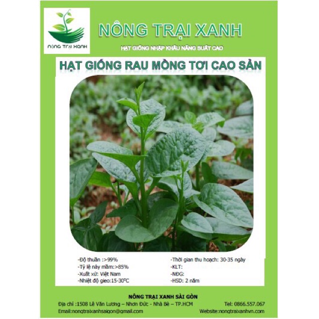 Hạt Giống Mồng Tơi Cao Sản (20 gr) - Dễ Trồng,Giàu Dinh Dưỡng