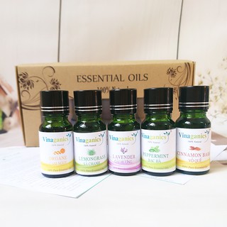 Combo 5 chai tinh dầu oải hương, bạc hà, sả chanh, cam ngọt, quế 10ml