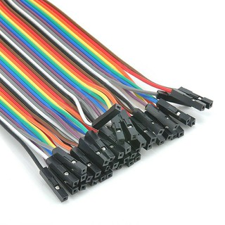 DÂY CẮM TEST BOARD ( 40 dây)