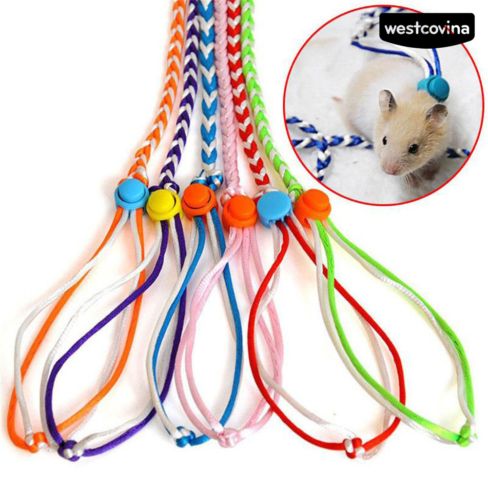 Dây Dắt Thú Cưng Đi Dạo Cỡ Nhỏ 1.4 / 2m