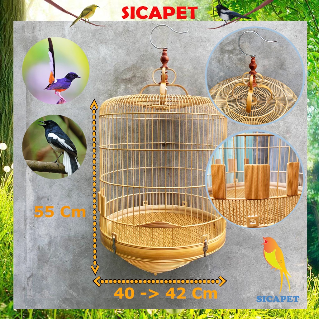 Lồng chim biên hòa dũi chỉ, Lồng chích chòe, White-rumped shama cage, Copsychus saularis SICAPET