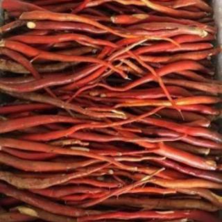 SÂM CAU ĐỎ 1KG HÀNG CHỌN CỦ TO