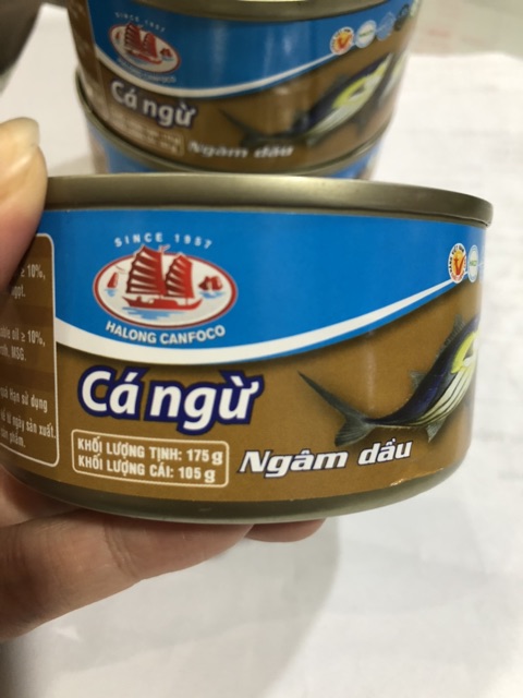 Date 2024- Cá Ngừ Ngâm Dầu  HALONG CANFOCO hộp 175g