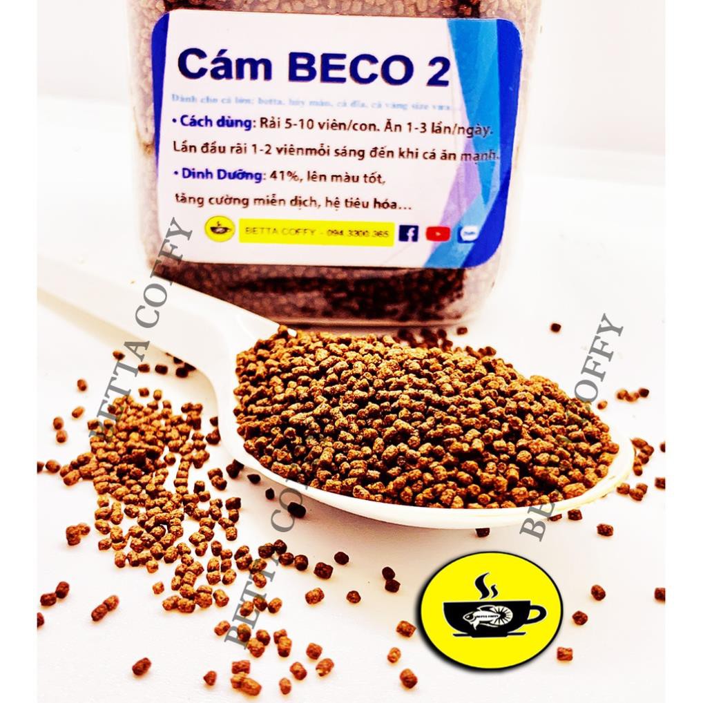 🥩 Cám BECO 2 - Thức ăn cho cá lớn  BETTA COFFY