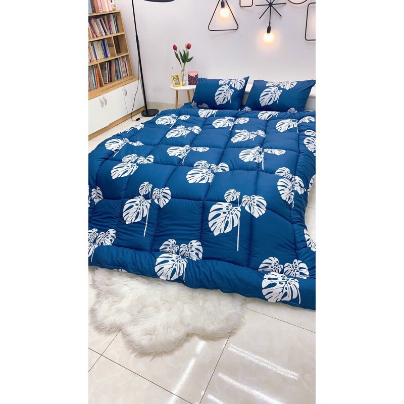 Bộ Chăn Phao Trần Và Ga Gối Cotton Đũi Mềm Nhẹ Ấm Áp Mùa Đông [ Inbox chọn thêm mẫu]