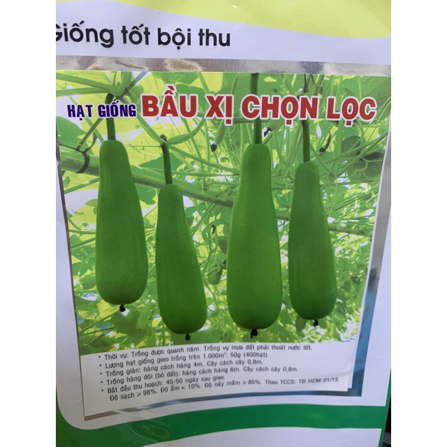 Hạt giống bầu xị F1 siêu trái gói 20 hạt giá rẻ