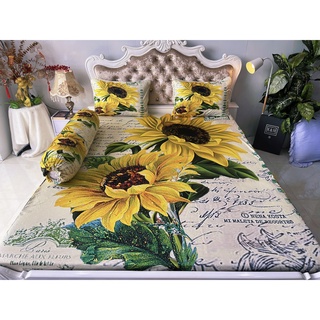 Bộ drap thun lạnh ý 5D cao cấp