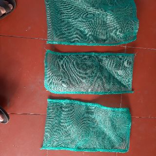 Túi đựng sâu canxi , ruồi lính đen , dế