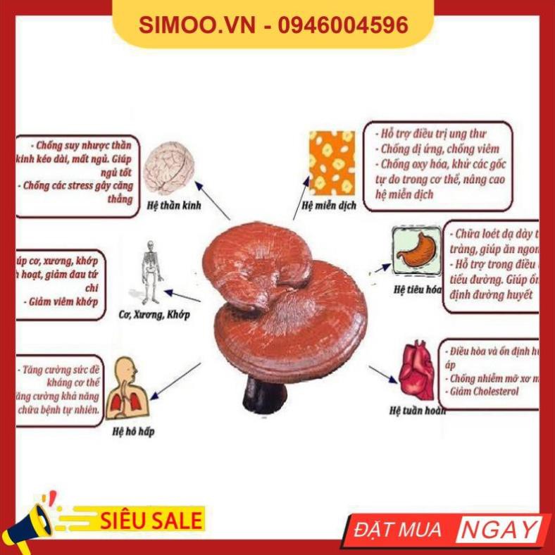 💥 ⚡ SẢN PHẨM CHÍNH HÃNG 💥 ⚡  Cao Linh Chi YoungJi Hộp Gỗ Đen HÀN QUỐC, Hộp 3 lọ* 120gr 💥 ⚡