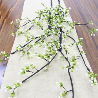 Cành Tuyết Quả xốp