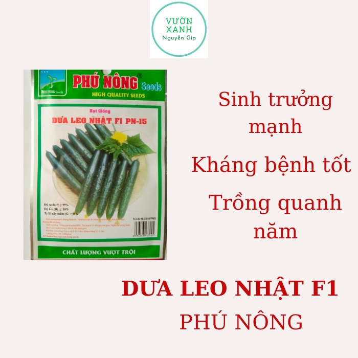 Hạt Giống Dưa Leo Nhật F1 - Phú Nông