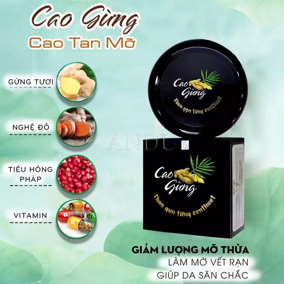 Cao Gừng Thiên Nhiên Việt, Cao Nóng Lá Gừng Giảm Mỡ Bụng , Tan Mỡ Thừa Siêu Hiệu Quả + Tặng Kèm Thước Đo Đai Nịt Cao Nịt