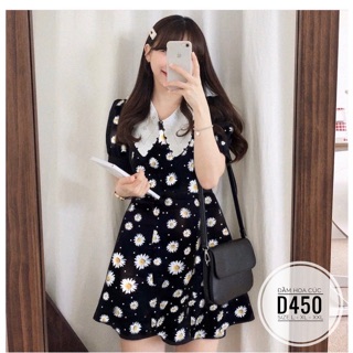 Bigsize đầm hoa cúc d450