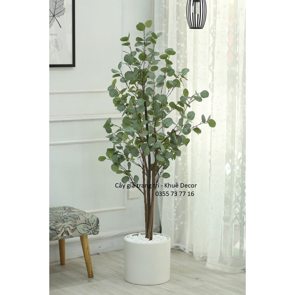 Cây Bạch Đàn Bắc Âu lá tròn 1m6 - Cây giả