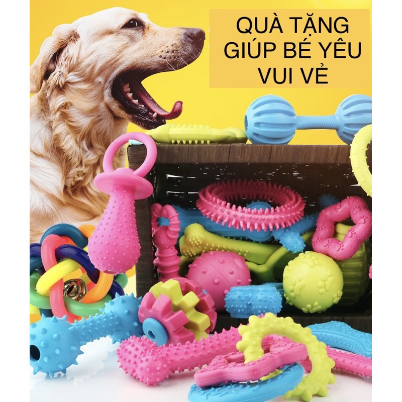 Bộ quà tặng đồ chơi giúp bé yêu vui vẻ, giảm căng thẳng - Món quà thân mật cho thú cưng