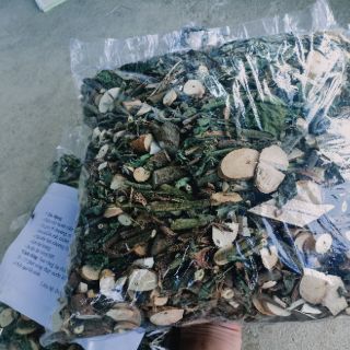 (TẶNG HẠT GIỐNG AN XOA)  1kg Cây an xoa hoa tim