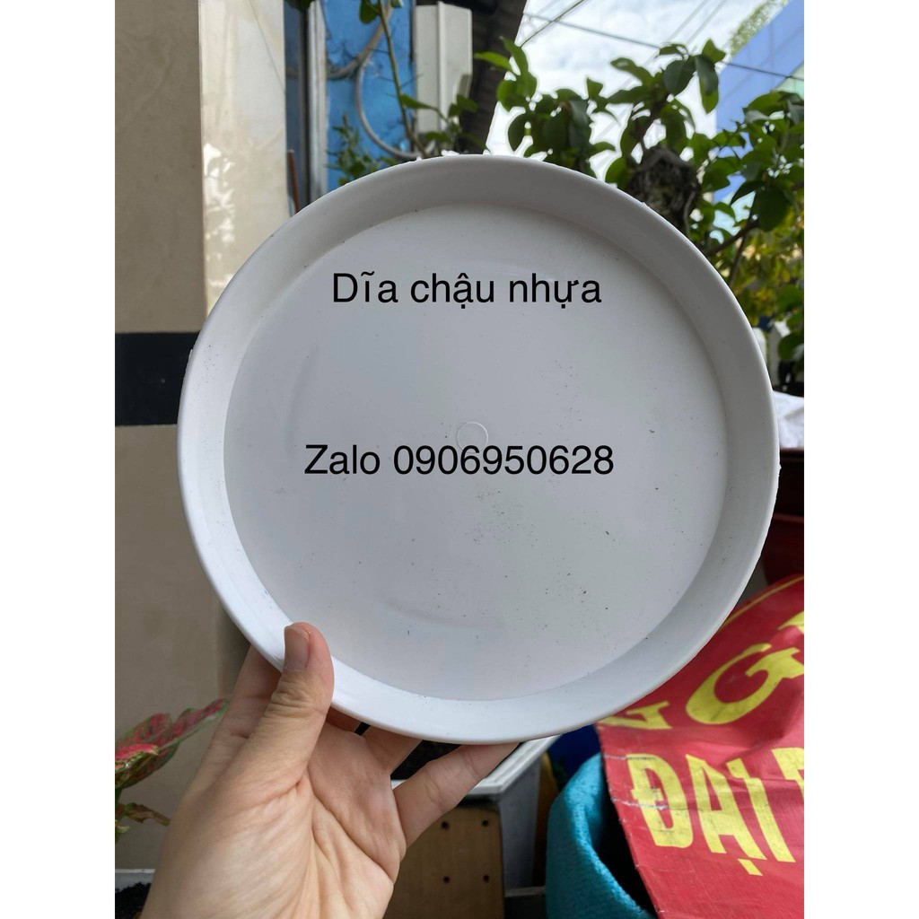 Chậu nhựa kim cương giả đá đen có 2 size