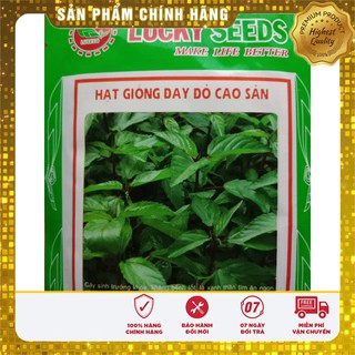 COMBO 10 gói hạt giống rau đay đỏ cao sản TẶNG 1 phân bón