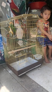 Lồng nuôi vẹt B3 Gold