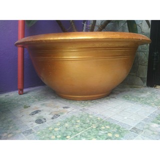Sơn chậu kiểng