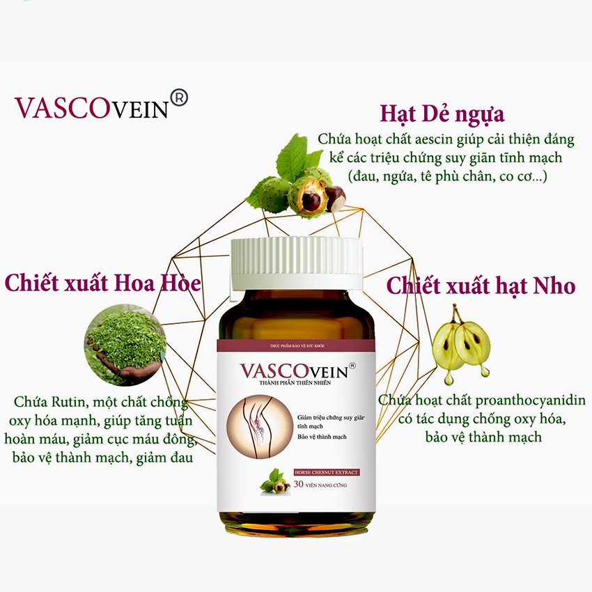 Vascovein Hộp 30 Viên - Viên uống hỗ trợ và phòng ngừa giãn tĩnh mạch