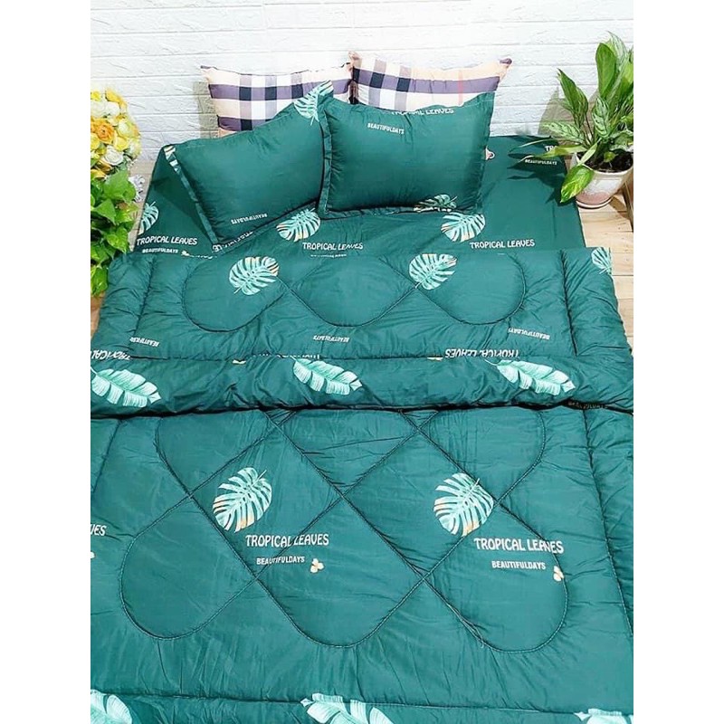 Bộ ga chun cotton poly 4 món chăn phao dày dặn( được chọn mẫu )