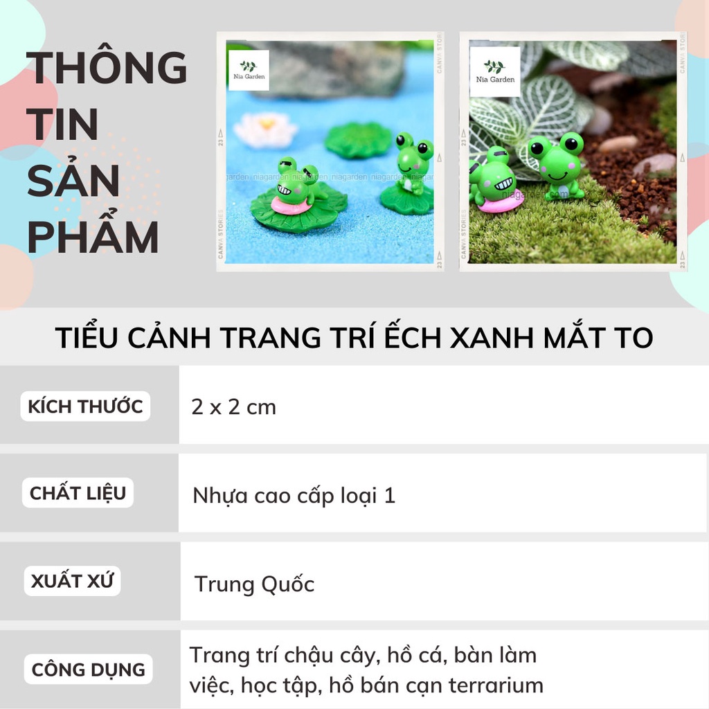 Tiểu cảnh ếch xanh trang trí terrarium chậu cây cảnh hồ cá bàn làm việc Nia Garden N5