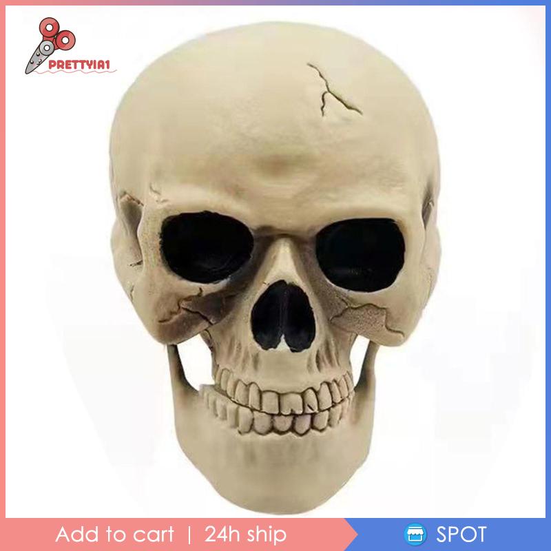 Bộ Xương Trang Trí Halloween Kinh Dị Prettyia1