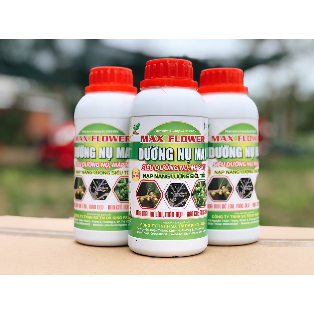 PHÂN BÓN MAI VÀNG - MAX FLOWER DƯỠNG NỤ MAI CHAI 500ML - MẬP NỤ, DÀY CÁNH, HOA TO ,LÊN MÀU ĐẸP