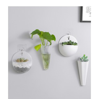 Chậu Cây Cảnh MiNi Trang Trí Dán Tường TẶNG KÈM MÓC